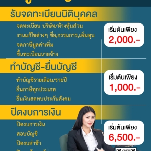 รับวางระบบบัญชี