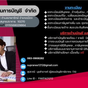 รับวางระบบบัญชี วางแผนภาษี
